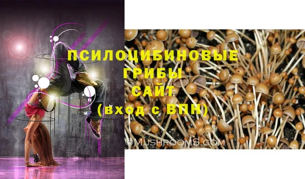 гидропоника Михайловск