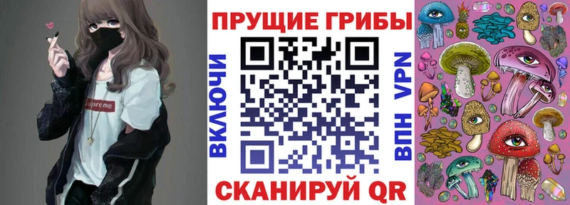 Купить закладки  Сенгилей  Галлюциногенные грибы Cubensis 